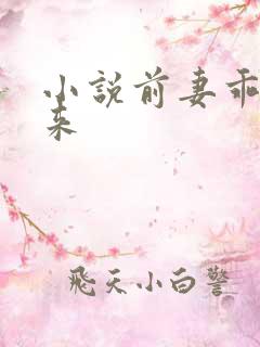 小说前妻乖乖回来