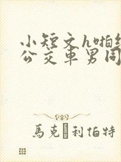 小短文h啪纯肉公交车男同