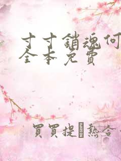 寸寸销魂何生祥全本免费