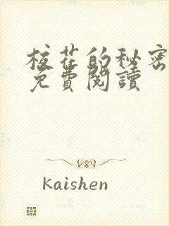 校花的秘密小说免费阅读