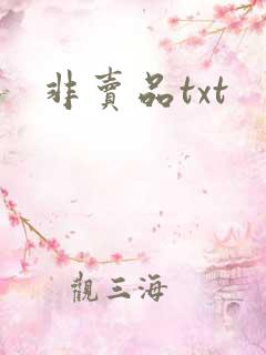 非卖品txt