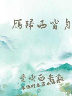 雁归西窗月小说