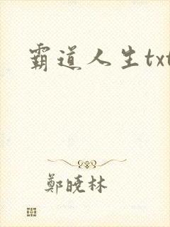 霸道人生txt