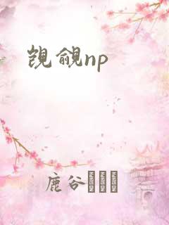 觊觎np