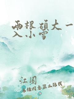 两根硕大一起挤入小雪