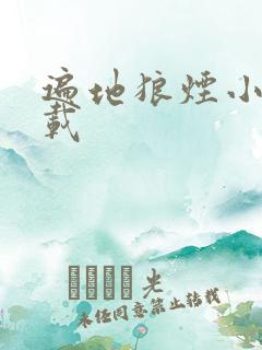 遍地狼烟小说下载