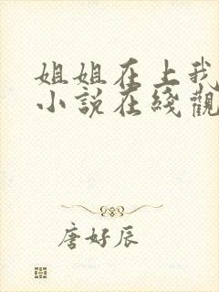 姐姐在上我在下小说在线观看