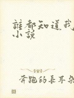 谁都知道我爱你小说