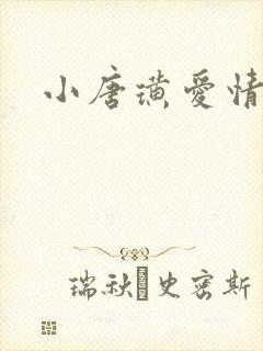 小唐璜爱情历史