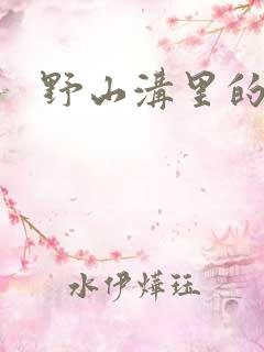 野山沟里的村庄