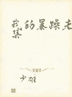 我的暴躁老妈全集