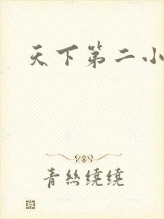 天下第二小说