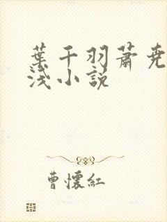 叶千羽萧尧白清浅小说