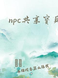 npc共享宝贝