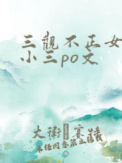 三观不正女主是小三po文