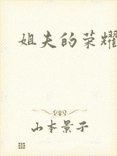 姐夫的荣耀全集