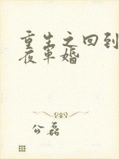 重生之回到新婚夜军婚