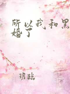所以我和黑粉结婚了