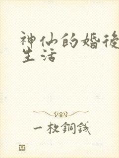 神仙的婚后都市生活