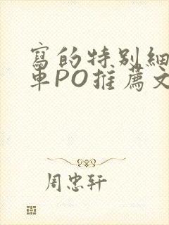 写的特别细的开车PO推荐文