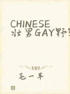 CHINESE壮男GAY野战强迫TUBE