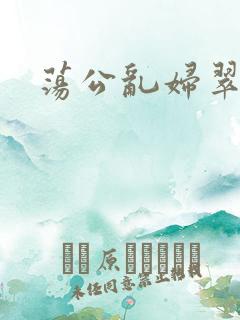 荡公乱妇翠翠