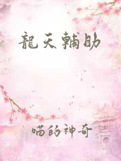 龙天辅助