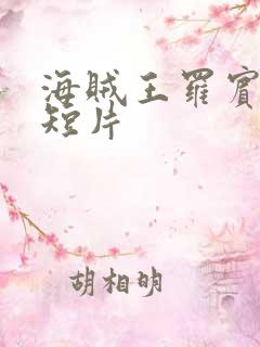 海贼王罗宾被h短片