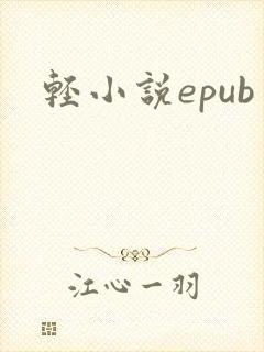 轻小说epub