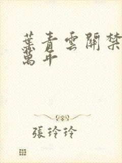 叶青云关禁闭一万年