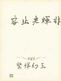 容止光辉非世人