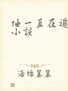 他一直在追初恋小说