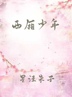 西厢少年