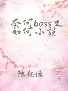 奈何boss又如何小说