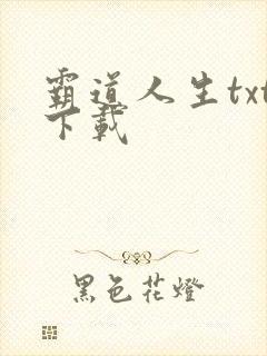 霸道人生txt下载