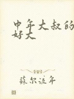 中年大叔的包包好大