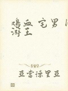 鸡血 宅男 网游王