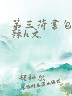 第三荷书包网高辣h文