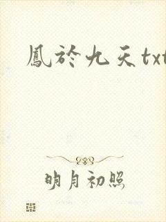 凤于九天txt