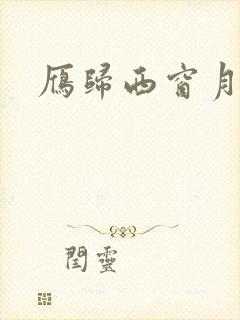 雁归西窗月小说