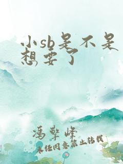 小sb是不是又想要了