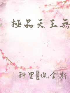 极品天王无弹窗