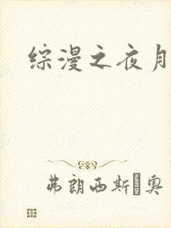 综漫之夜月