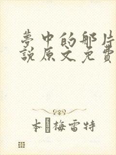 梦中的那片海小说原文免费阅读