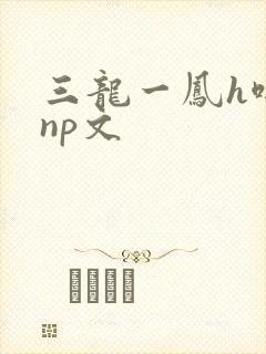 三龙一凤h啪肉np文