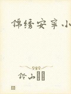 锦绣安宁小说