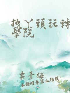 拽丫头玩转美男学院