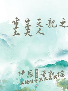 重生天龙之推倒王夫人