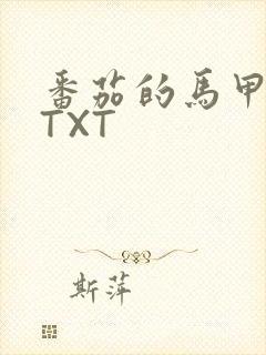 番茄的马甲小说TXT