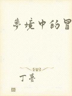 梦境中的冒险家